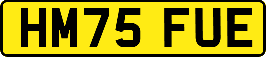 HM75FUE