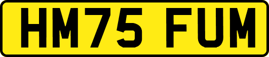 HM75FUM