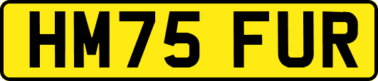 HM75FUR