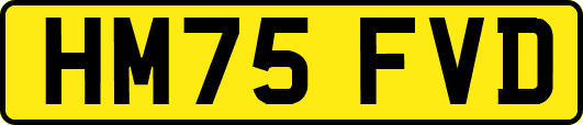 HM75FVD