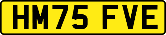 HM75FVE
