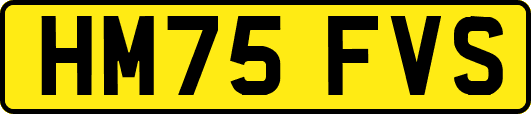 HM75FVS