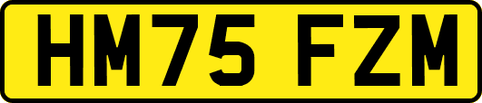 HM75FZM