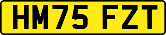 HM75FZT