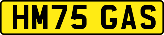 HM75GAS