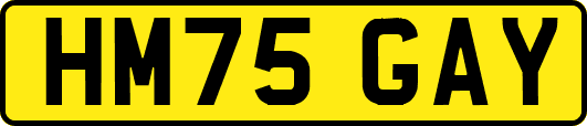 HM75GAY
