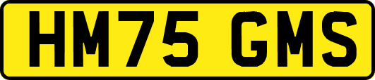 HM75GMS