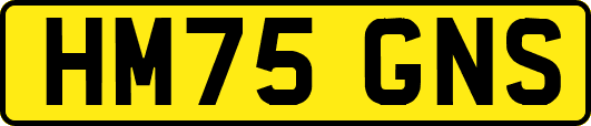 HM75GNS