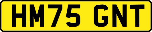 HM75GNT