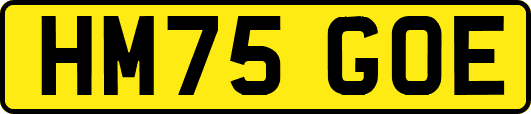 HM75GOE