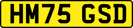 HM75GSD