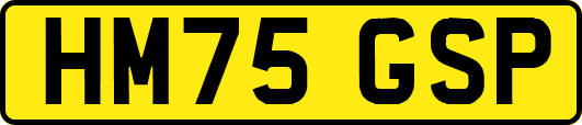 HM75GSP