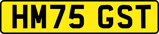 HM75GST
