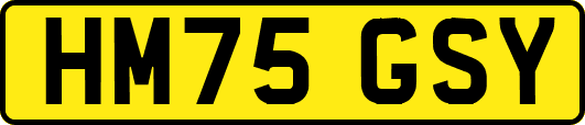 HM75GSY