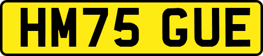 HM75GUE