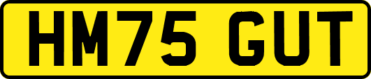 HM75GUT