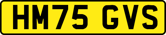 HM75GVS