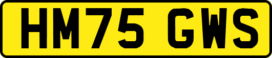 HM75GWS