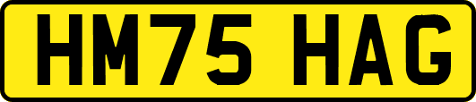 HM75HAG