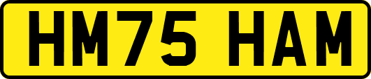 HM75HAM