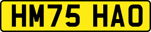 HM75HAO