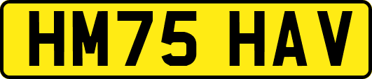HM75HAV