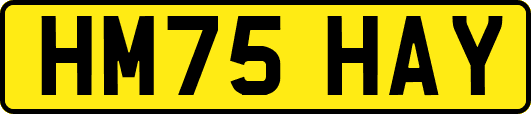 HM75HAY