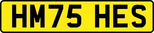 HM75HES