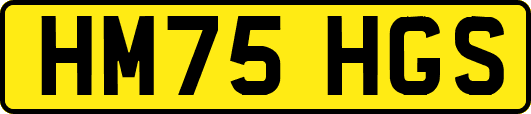 HM75HGS