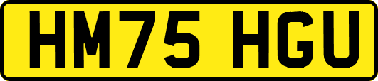 HM75HGU