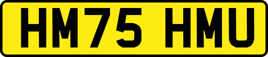 HM75HMU