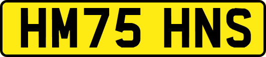 HM75HNS