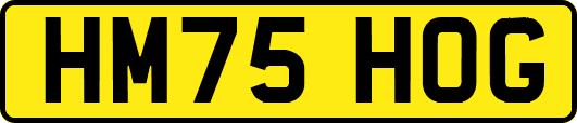 HM75HOG