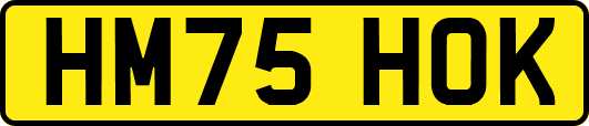 HM75HOK
