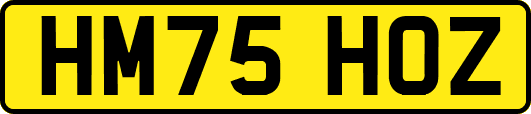 HM75HOZ