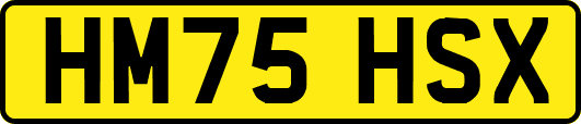 HM75HSX