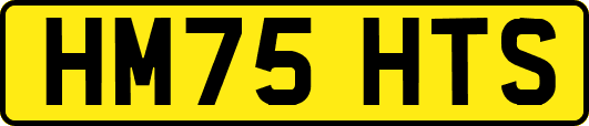 HM75HTS