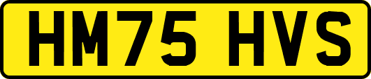 HM75HVS