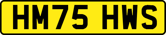HM75HWS