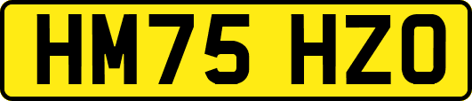 HM75HZO