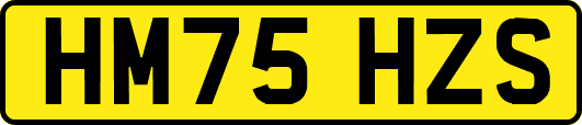 HM75HZS