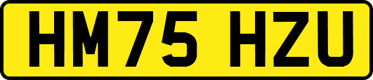 HM75HZU