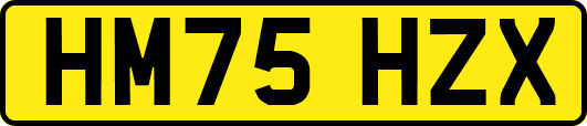 HM75HZX