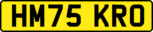 HM75KRO