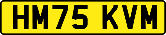 HM75KVM