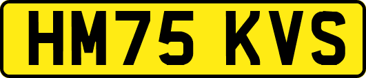 HM75KVS