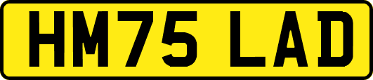 HM75LAD