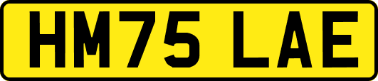 HM75LAE