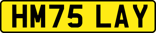 HM75LAY
