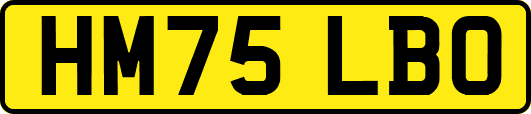 HM75LBO
